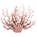 realistic-coral-7